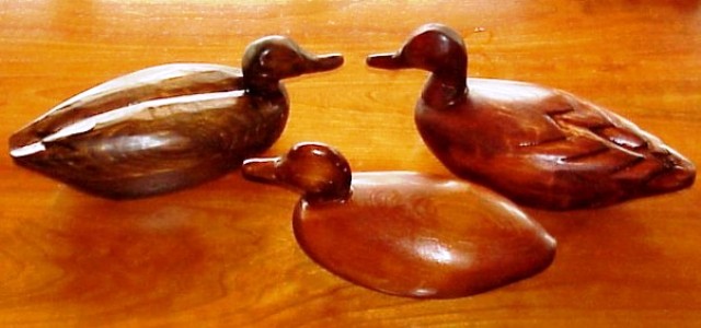 three ducks large